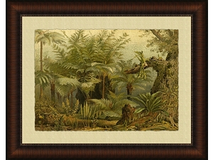 Fern Framed Art - Find the Perfect Style! | Havertys