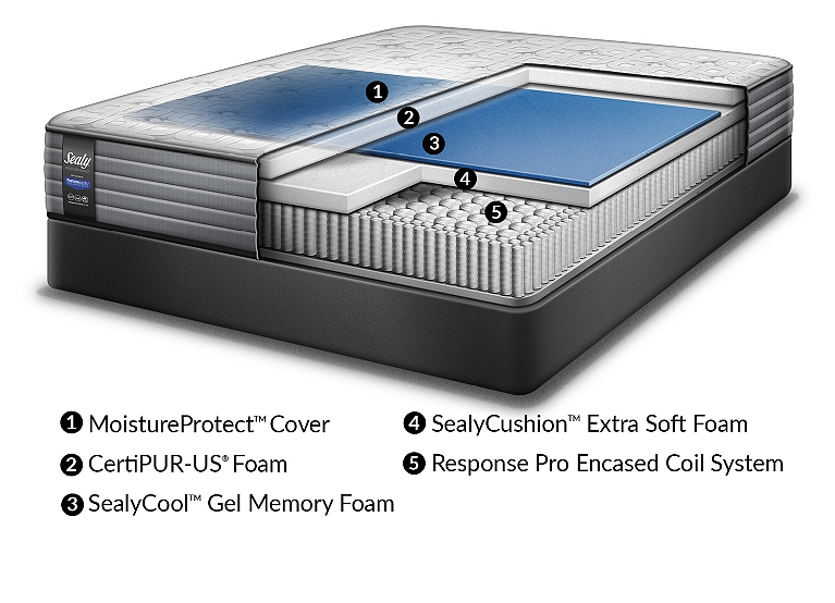 Rock Springs Plush Euro Pillowtop Mattress Find The Perfect