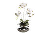 Moth Orchid Floral in Metallic Bowl. Main image thumbnail.