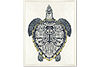 Sea Turtle Framed Art. Main image thumbnail.
