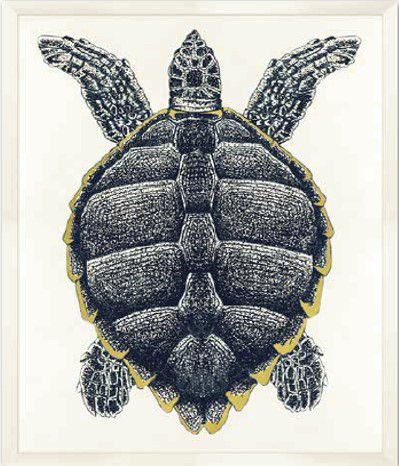 Sea Turtle Framed Art