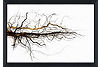 Branches Framed Art. Main image thumbnail.