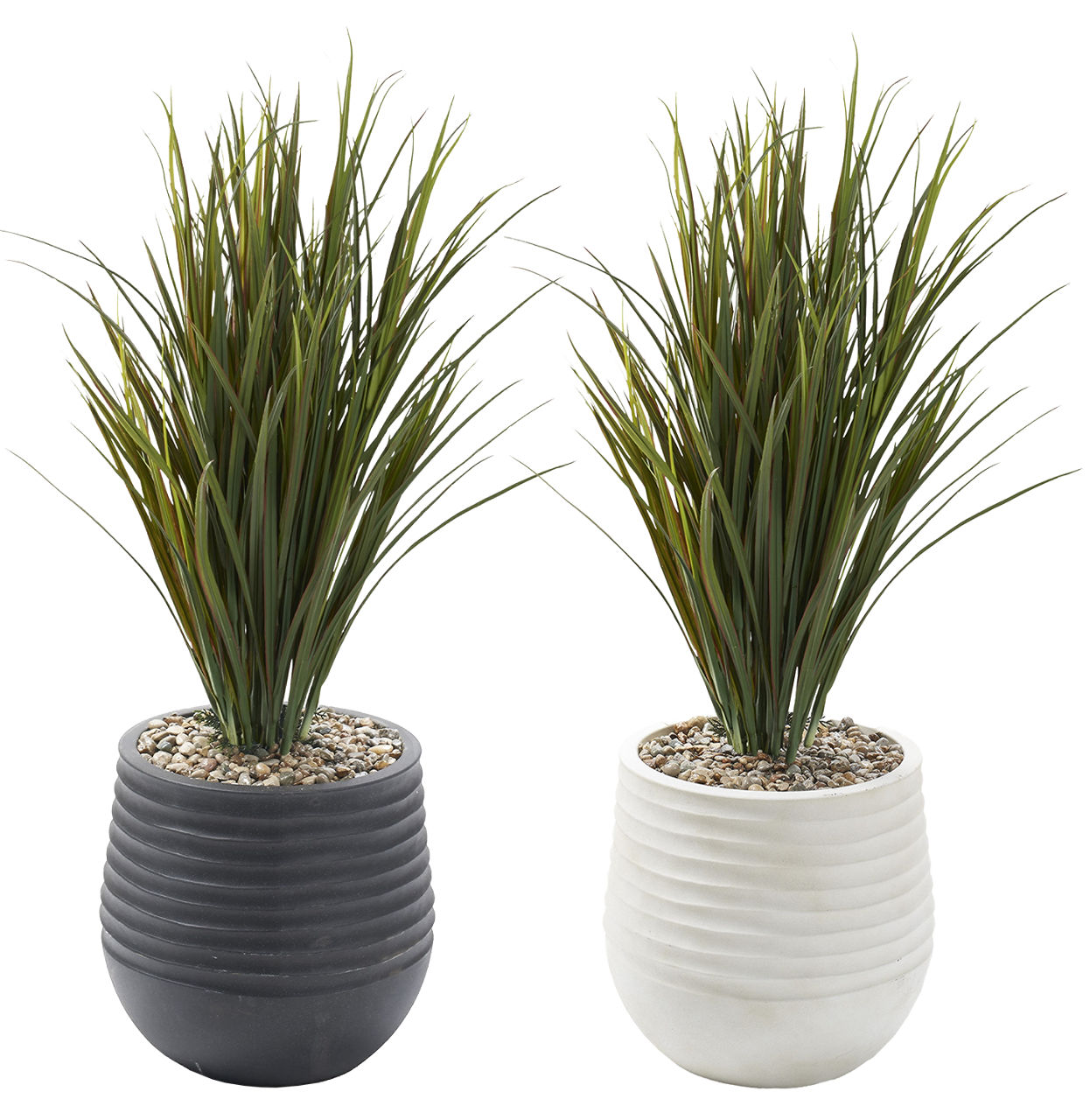 Areca Grass Arrangement