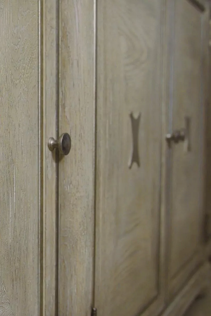 Detailed shot of buffet server