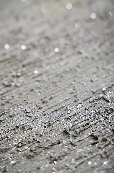 Divine Silver Canvas Detail