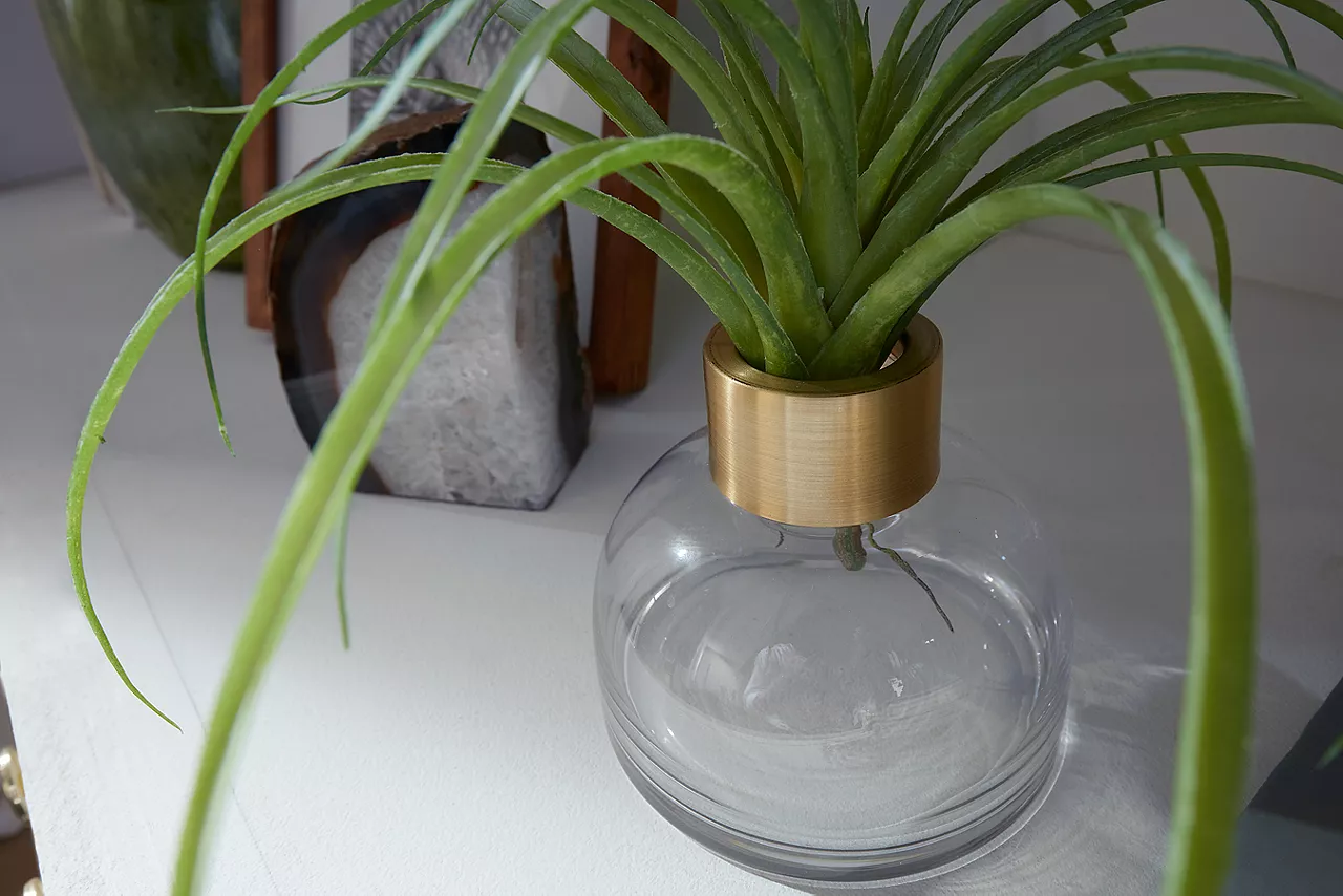 Glass jar holding green grass leaves on a shelf in a room scene.