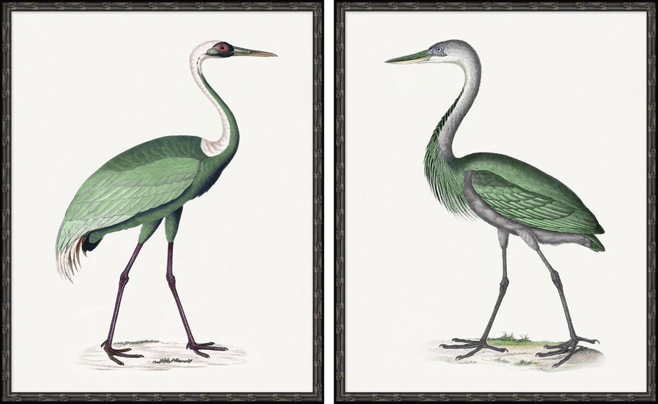 Emerald Wings Wall Art