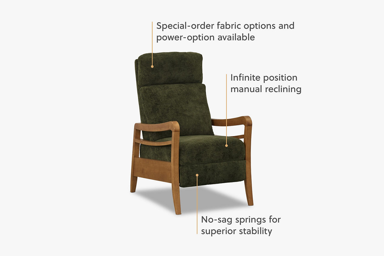 Arden Recliner - Thumbnail 2