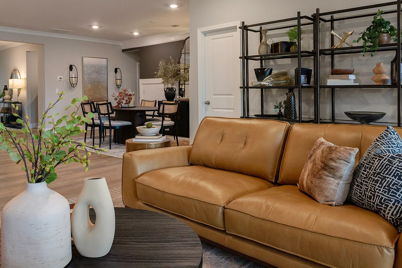 Canton Design Spotlight