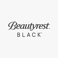 Shop Beautyrest BLACK mattresses