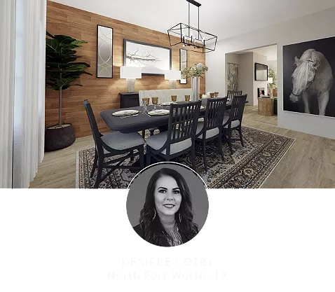 Design expert render