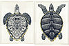 Sea Turtle Framed Art. Alt image 1.