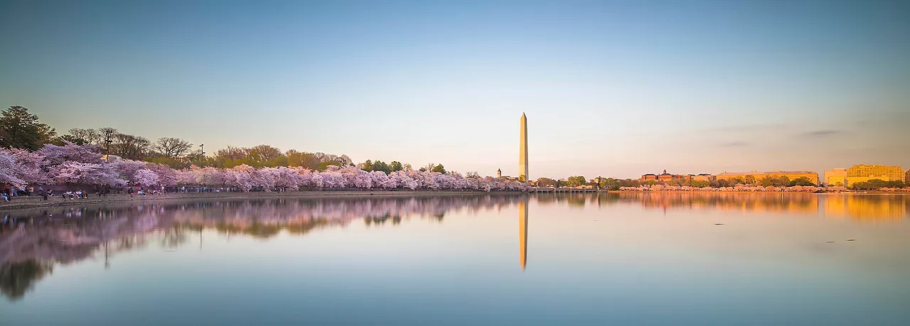 Washington Monument image